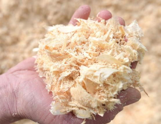 farine de bois silvadec fibres