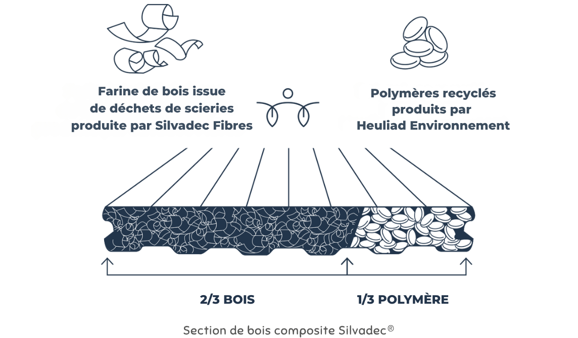 Schéma de coupe d'une lame de terrasse en bois composite Silvadec : composition 2/3 bois issu de scieries et 1/3 polymères recyclés