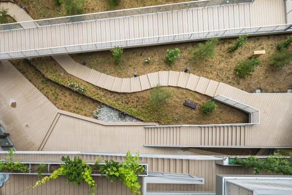 Aménagement extérieur en bois composite formant un chemin sinueux avec passerelles à plusieurs niveaux, intégrant des espaces verts et de la végétation, idéal pour les établissements recevant du public (ERP)