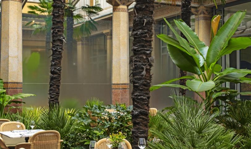 Brun Rio (terrasse 138 & 180)