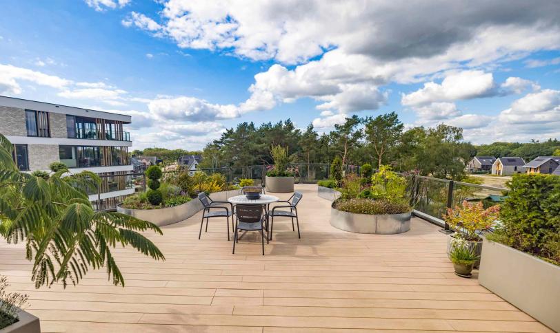 Brun Colorado structurée