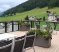 Brun Colorado lisse 138 mm